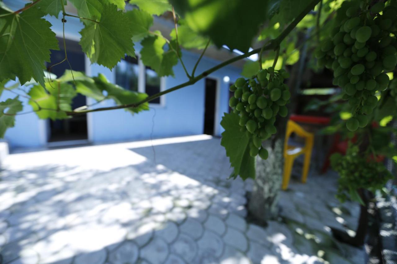 Lilia Guesthouse Sighnaghi Exterior foto